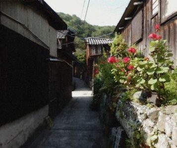 島の風景